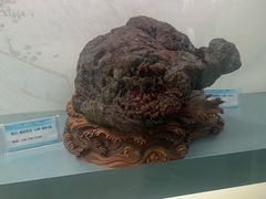 -甘肃地质博物馆