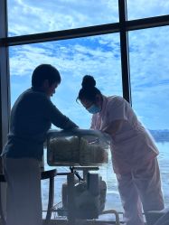 -臻康乃馨月子中心(集美店)