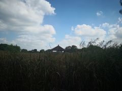 -梁鸿国家湿地公园