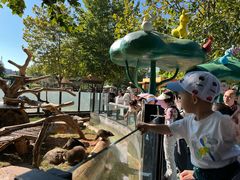 -大连森林动物园