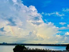 -宝安西湾红树林湿地公园