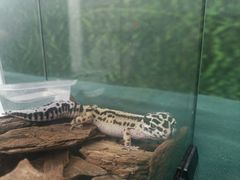 -万达广场(宜兴店)