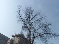 -平安桥天主教堂