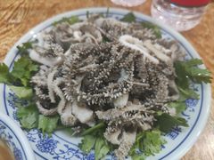 -门框胡同百年卤煮(前门煤市街店)