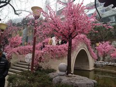 -西安曲江寒窑遗址公园