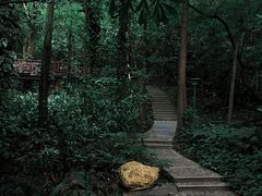 -广州市白云山风景名胜区