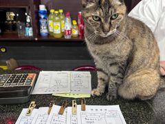 -协和菜馆(凤凰街店)