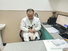 -安安宠医·臻爱宠物医院·宠保定点(营门口路分院)