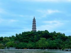-顺峰山公园