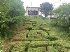 -南戴河国际娱乐中心