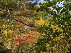 -五女峰国家森林公园