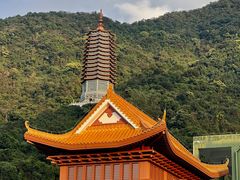 -深圳仙湖植物园