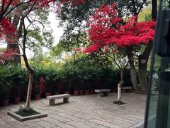 -岳麓山风景名胜区