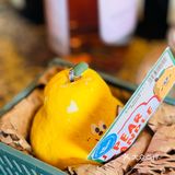 来拍照啦