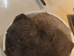 -二荆条·蜀鲜汇城市森林火锅