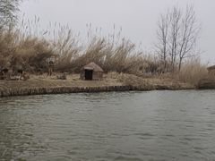 -泗洪洪泽湖湿地景区