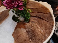 -华晟山城火锅(开发区港西东阁里店)