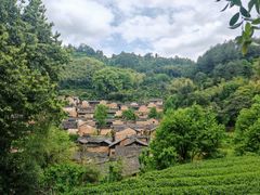 -杨家堂村