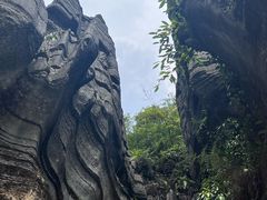 -梭布垭石林景区