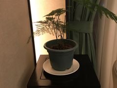 靠窗位-小厨娘淮扬菜(天印大道店)