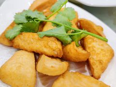 普宁炸豆腐-陆记鹅庄·潮汕菜·狮头鹅(大仟里店)
