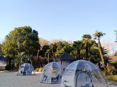 -上海东方佘山翰悦阁酒店·Vie全日制餐厅