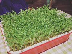 -番食园鲜食火锅(高新店)