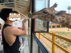 -西霞口神雕山野生动物世界