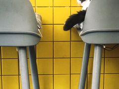 comfort&nbsp;food-22cafe