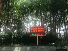 -南宁南湖公园