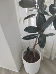 -HEYAN荷妍专业脱毛连锁机构