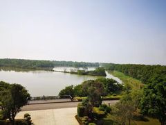 -大湾区中央湿地公园-十九涌