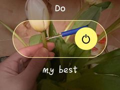 -双季花艺园艺市场(浦东店)