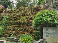 -广州神农草堂中医药博物馆