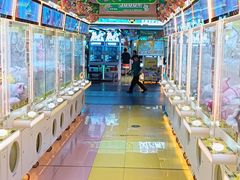 -风云再起游乐汇(北京西单西西友谊店)