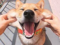 -FASHION BAKERY法森贝克(新德路店)