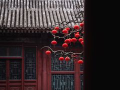 -颐和园