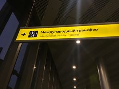 -谢列梅捷沃国际机场