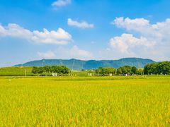 -光明小镇欢乐田园