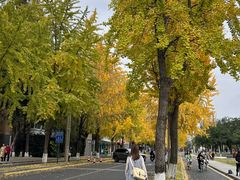 -四川大学(望江校区)