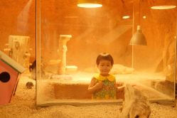 -酷嗒动物文化乐园(cutezoo西溪乐天城店)