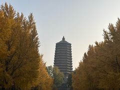 -玲珑塔公园
