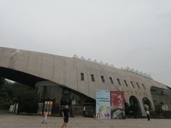 -自贡恐龙博物馆