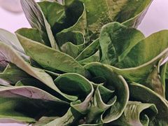 -南门四季铜锅涮肉(大屯·北苑店)