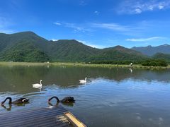 -大九湖