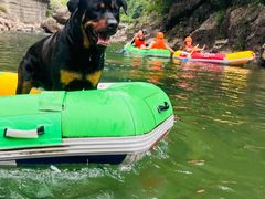 -安吉龙王山峡谷漂流
