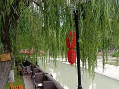 -温江公园