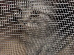 -爱侣宠医·鹦鹉专科·小型哺乳类·异宠专科(灵石路店)