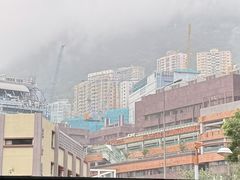 -香港大学
