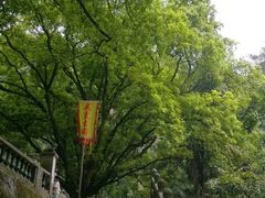 -飞霞风景名胜区